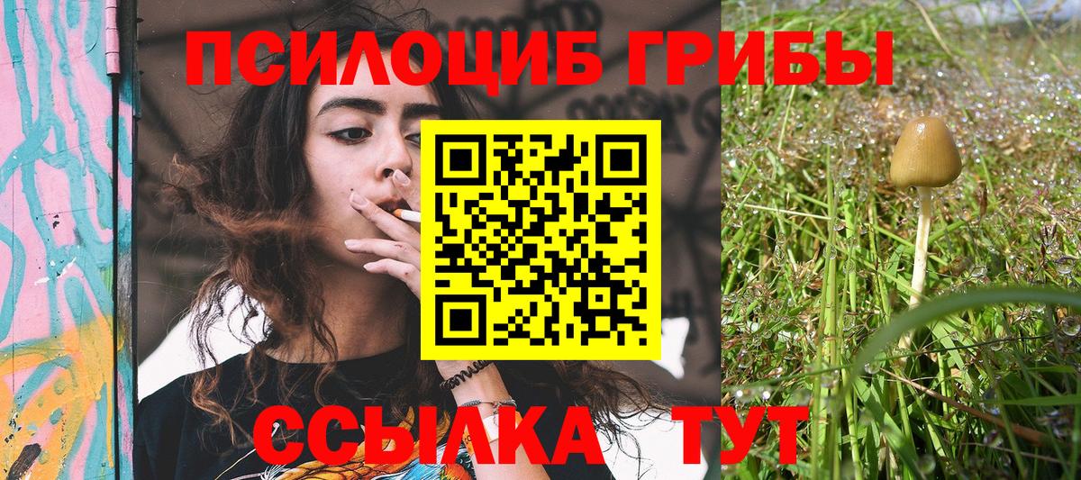 Псилоцибиновые грибы Psilocybine cubensis  Галлюциногенные грибы GOLDEN TEACHER  Кумертау  Вход с VPN 